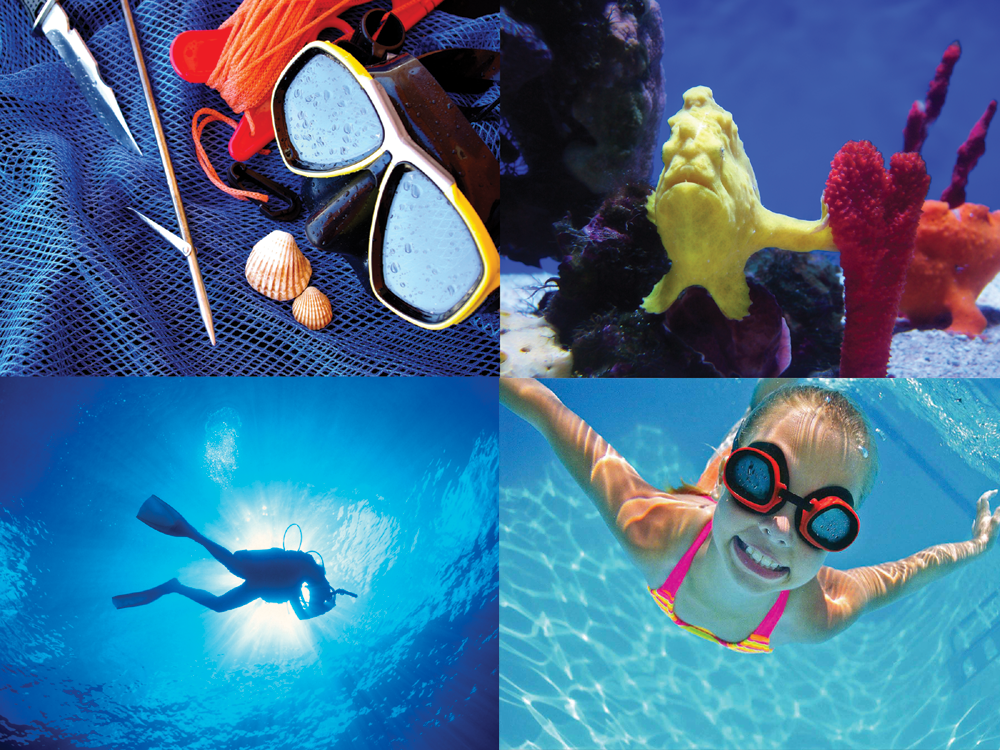 Images showing SCUBA and Swim to enter the Dive Shop and Swim Center software features.