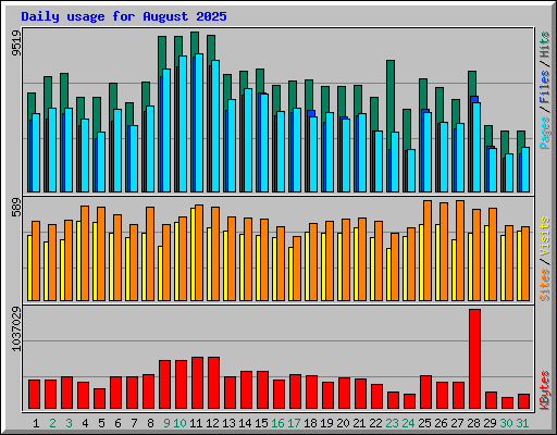 Daily usage for August 2025