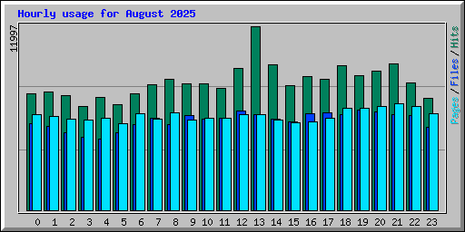 Hourly usage for August 2025