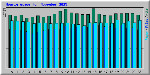 Hourly usage for November 2025